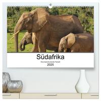 Südafrika - Eine beeindruckende Tierwelt (hochwertiger Premium Wandkalender 2025 DIN A2 quer), Kunstdruck in Hochglanz