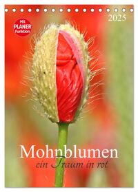 Mohnblumen-ein Traum in rot (Tischkalender 2025 DIN A5 hoch), CALVENDO Monatskalender