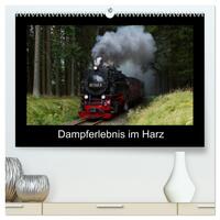 Dampferlebnis im Harz (hochwertiger Premium Wandkalender 2025 DIN A2 quer), Kunstdruck in Hochglanz