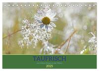 Taufrisch ... am frühen Morgen in der Wiese (Tischkalender 2025 DIN A5 quer), CALVENDO Monatskalender