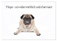 Mops - unwiderstehlich und charmant (Wandkalender 2025 DIN A2 quer), CALVENDO Monatskalender