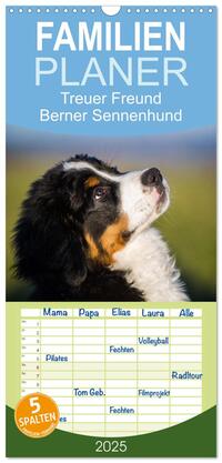 Familienplaner 2025 - Treuer Freund Berner Sennenhund mit 5 Spalten (Wandkalender, 21 x 45 cm) CALVENDO