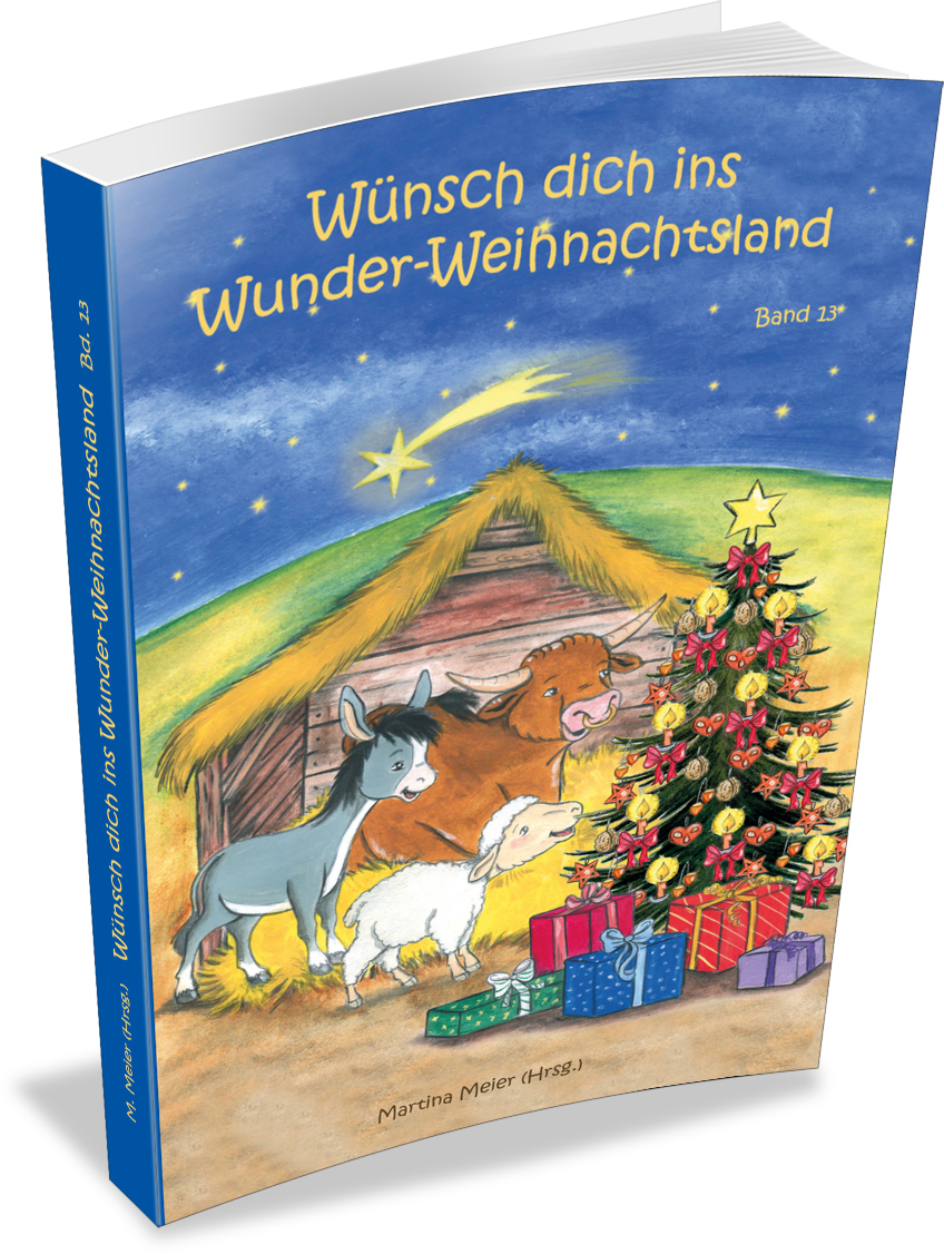 Wünsch dich ins Wunder-Weihnachtsland Band 13