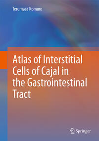 Atlas of Interstitial Cells of Cajal in the Gastrointestinal Tract