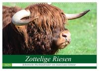 Zottelige Riesen - Schottische Hochlandrinder (Wandkalender 2025 DIN A3 quer), CALVENDO Monatskalender