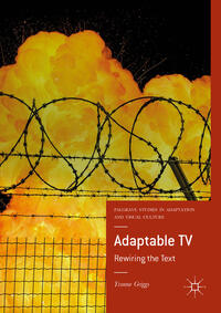 Adaptable TV