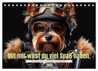 Der humoristische Yorkshire Terrier Kalender (Tischkalender 2025 DIN A5 quer), CALVENDO Monatskalender