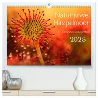 Naturjuwel Haspelmoor (hochwertiger Premium Wandkalender 2025 DIN A2 quer), Kunstdruck in Hochglanz