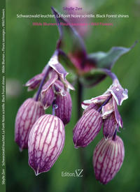 Wilde Blumen. Fleurs sauvages. Wild Flowers