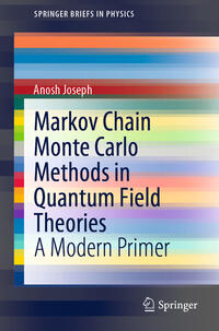 Markov Chain Monte Carlo Methods in Quantum Field Theories