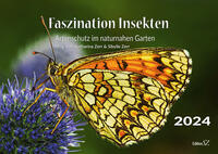 Faszination Insekten