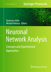 Neuronal Network Analysis