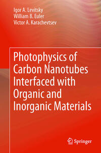 Photophysics of Carbon Nanotubes Interfaced with Organic and Inorganic Materials