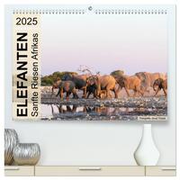 Elefanten - Sanfte Riesen Afrikas (hochwertiger Premium Wandkalender 2025 DIN A2 quer), Kunstdruck in Hochglanz