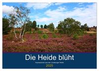 Die Heide blüht (Wandkalender 2025 DIN A2 quer), CALVENDO Monatskalender