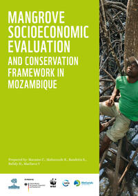 Mangrove Socioeconomic Evaluation and Conservation Framework in Mozambique