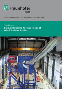 Biaxial Dynamic Fatigue Tests of Wind Turbine Blades