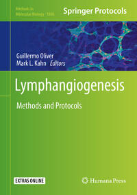 Lymphangiogenesis