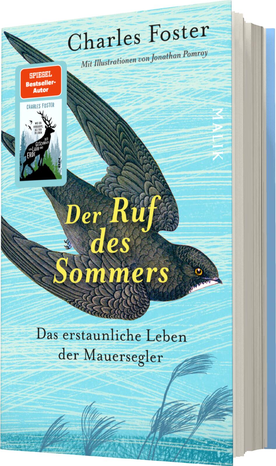 Der Ruf des Sommers