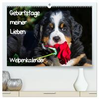 Geburtstage meiner Lieben - Welpenkalender (hochwertiger Premium Wandkalender 2025 DIN A2 quer), Kunstdruck in Hochglanz