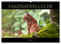 Faszination Luchs (Wandkalender 2025 DIN A2 quer), CALVENDO Monatskalender