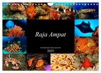 Raja Ampat - Faszinierende Unterwasserwelt (Wandkalender 2025 DIN A4 quer), CALVENDO Monatskalender