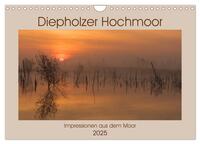 Diepholzer Hochmoor (Wandkalender 2025 DIN A4 quer), CALVENDO Monatskalender