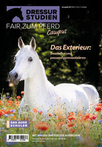 Dressur-Studien | Fair zum Pferd