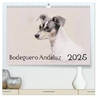 Bodeguero Andaluz 2025 (hochwertiger Premium Wandkalender 2025 DIN A2 quer), Kunstdruck in Hochglanz