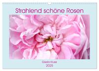 Strahlend schöne Rosen (Wandkalender 2025 DIN A3 quer), CALVENDO Monatskalender