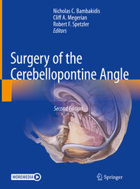 Surgery of the Cerebellopontine Angle