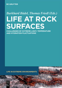 Life at Rock Surfaces