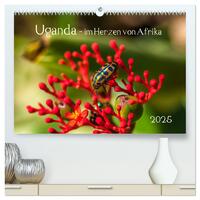 Uganda - im Herzen von Afrika (hochwertiger Premium Wandkalender 2025 DIN A2 quer), Kunstdruck in Hochglanz