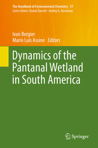 Dynamics of the Pantanal Wetland in South America