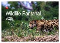 Wildlife Pantanal 2025 (Wandkalender 2025 DIN A3 quer), CALVENDO Monatskalender