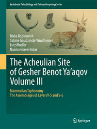 The Acheulian Site of Gesher Benot Ya‘aqov Volume III