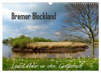 Bremer Blockland - Landleben in der Großstadt (Wandkalender 2025 DIN A3 quer), CALVENDO Monatskalender