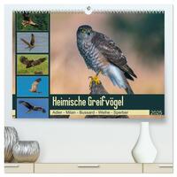 Heimische GREIFVÖGEL Adler Milan Bussard Weihe Sperber (hochwertiger Premium Wandkalender 2025 DIN A2 quer), Kunstdruck in Hochglanz