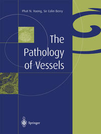 The Pathology of Vessels