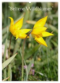 Seltene Wildblumen (Wandkalender 2025 DIN A2 hoch), CALVENDO Monatskalender