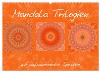 Mandala Trilogien (Wandkalender 2025 DIN A2 quer), CALVENDO Monatskalender