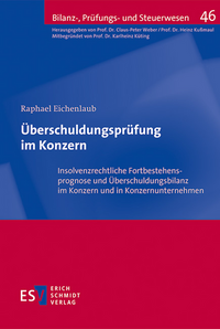 Überschuldungsprüfung im Konzern