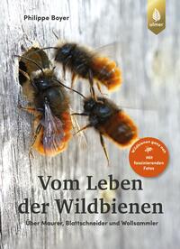 Vom Leben der Wildbienen