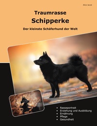 Traumrasse Schipperke