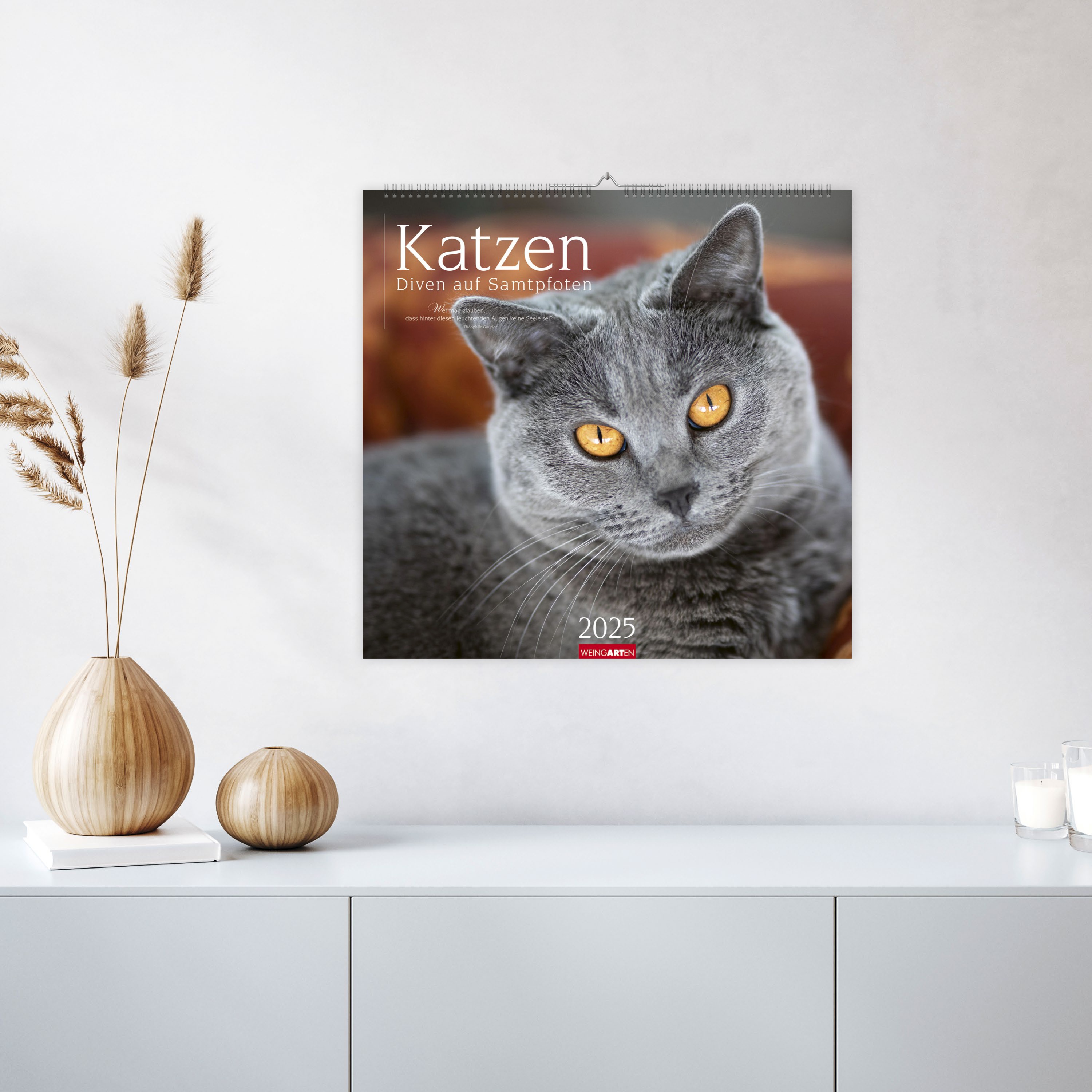 Katzen - Diven auf Samtpfoten Kalender 2025 - Diven auf Samtpfoten