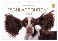 SCHLAPPOHREN (Wandkalender 2025 DIN A3 quer), CALVENDO Monatskalender