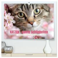 Katzen - sanfte Schönheiten (hochwertiger Premium Wandkalender 2025 DIN A2 quer), Kunstdruck in Hochglanz