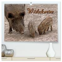 Wildschweine (hochwertiger Premium Wandkalender 2025 DIN A2 quer), Kunstdruck in Hochglanz