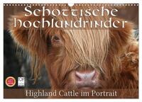 Schottische Hochlandrinder - Highland Cattle im Portrait (Wandkalender 2025 DIN A3 quer), CALVENDO Monatskalender