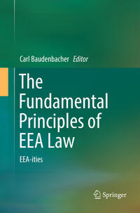 The Fundamental Principles of EEA Law